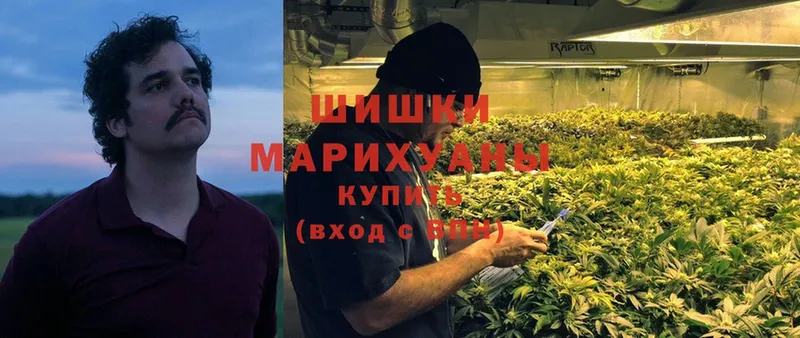 Бошки марихуана LSD WEED  Новоалтайск 